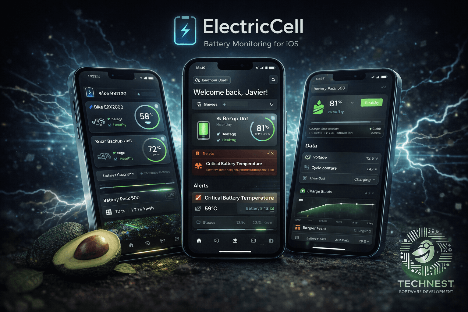 Electric Cell